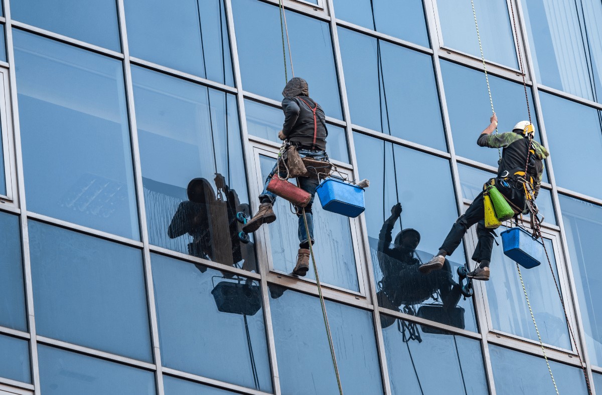 Professional window cleaning services